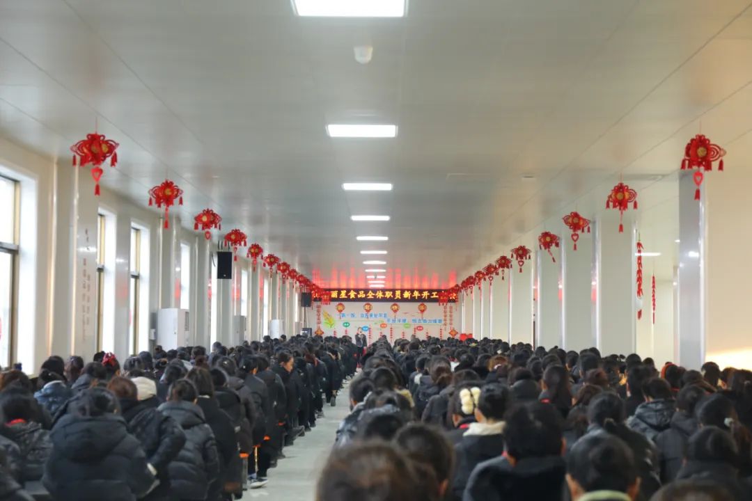 玉兔迎新春，奋进新征程