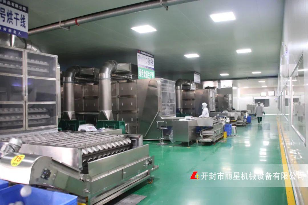 丽星即食粉丝加工设备