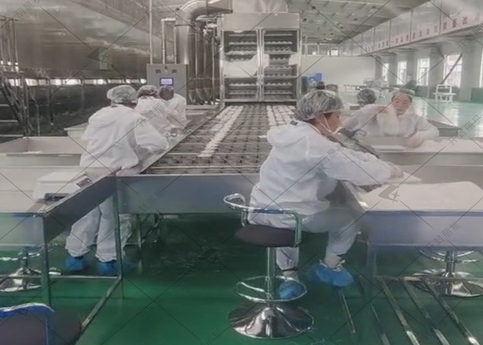 山西日产10吨的粉丝生产线试机现场