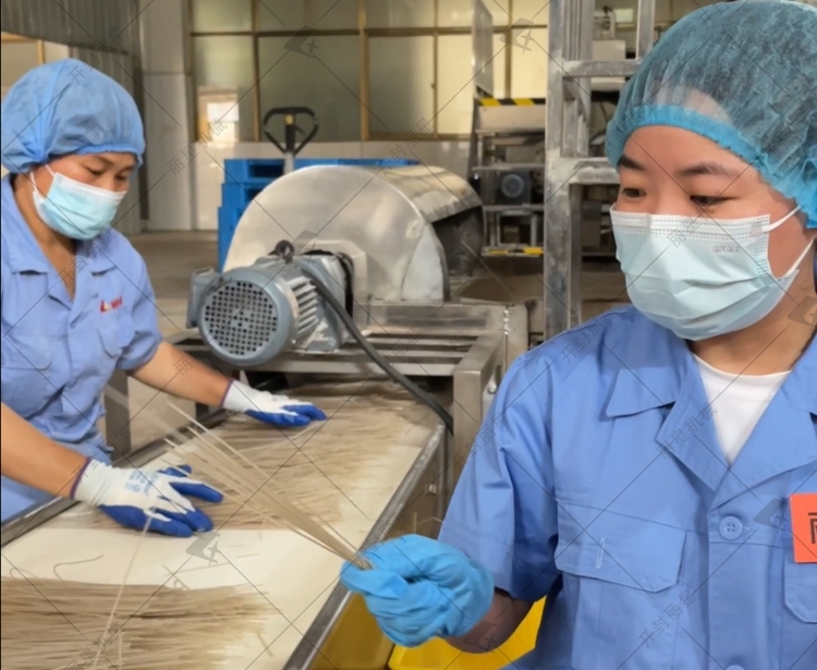 自动化粉条生产线工艺亮点与特点你知道哪些？