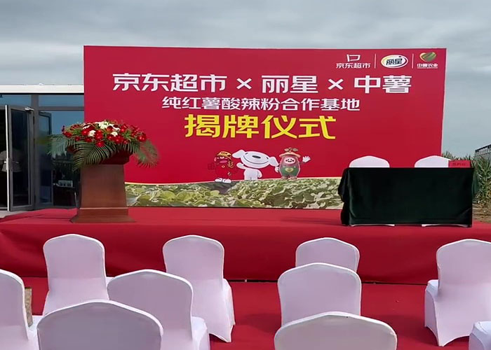 三方联建红薯基地，丽星粉丝加工设备核心优势显著