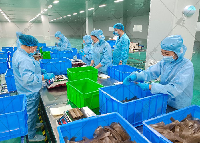 引进丽星苕皮生产线设备，赋能乡村产业振兴