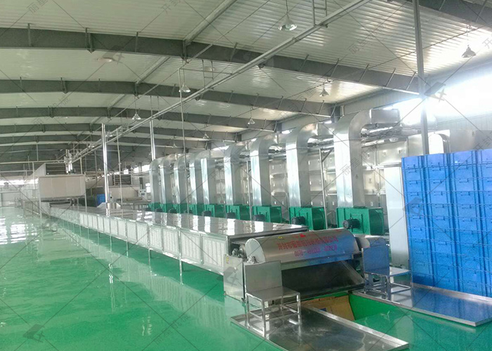 解决粉条易断问题，从自动化设备真空抽气工艺开始