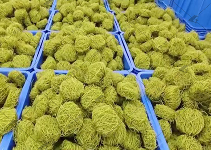 方便粉丝生产线也能加工羽衣甘蓝？答案是肯定的！